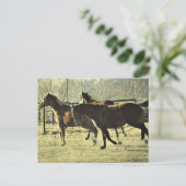 Carte Postale Chevaux joyeux (Debout devant)