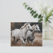 Carte Postale Chevaux Leopard Appaloosa Galloping (Debout devant)