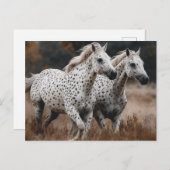 Carte Postale Chevaux Leopard Appaloosa Galloping (Devant / Derrière)