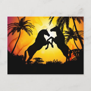 Carte Postale Chevaux noirs