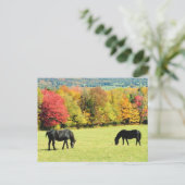 Carte Postale Chevaux noirs en automne (Debout devant)
