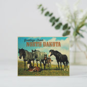 Carte Postale Chevaux Nokota du Dakota du Nord (Debout devant)