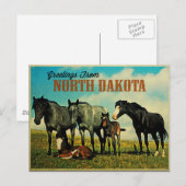 Carte Postale Chevaux Nokota du Dakota du Nord (Devant / Derrière)