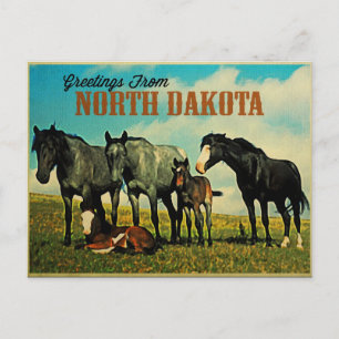 Carte Postale Chevaux Nokota du Dakota du Nord