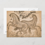 Carte Postale Chevaux Par Pénalité (Devant / Derrière)