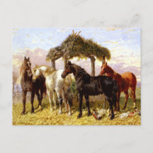 Chevaux par une rivière vers les années 1800