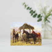 Carte Postale Chevaux par une rivière vers les années 1800 (Debout devant)