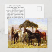 Carte Postale Chevaux par une rivière vers les années 1800 (Devant / Derrière)