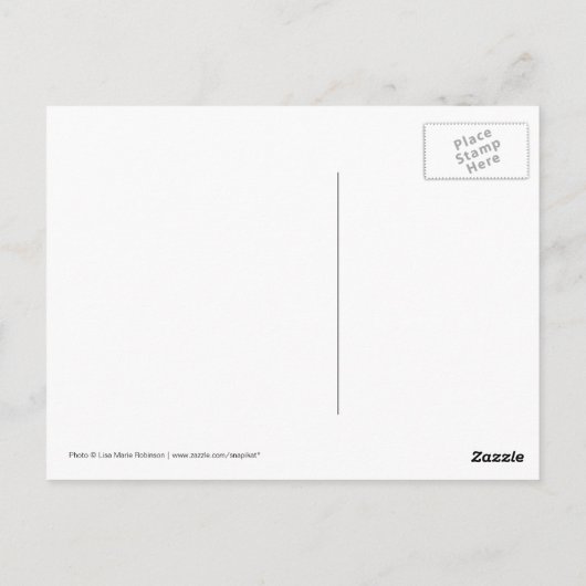 Carte Postale Chevaux Piebald & Châtaignes (Dos)