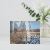 Carte Postale Chevaux Salutation hivernale (Debout devant)
