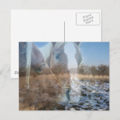 Carte Postale Chevaux Salutation hivernale (Devant / Derrière)