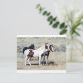 CARTE POSTALE CHEVAUX SAUVAGES (Debout devant)