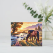 Carte Postale Chevaux sauvages au coucher du soleil (Debout devant)