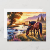 Carte Postale Chevaux sauvages au coucher du soleil (Devant / Derrière)