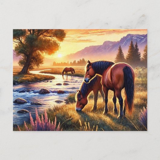 Carte Postale Chevaux sauvages au coucher du soleil (Devant)