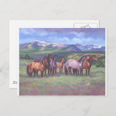 Carte Postale Chevaux sauvages de l'Oregon (Devant / Derrière)