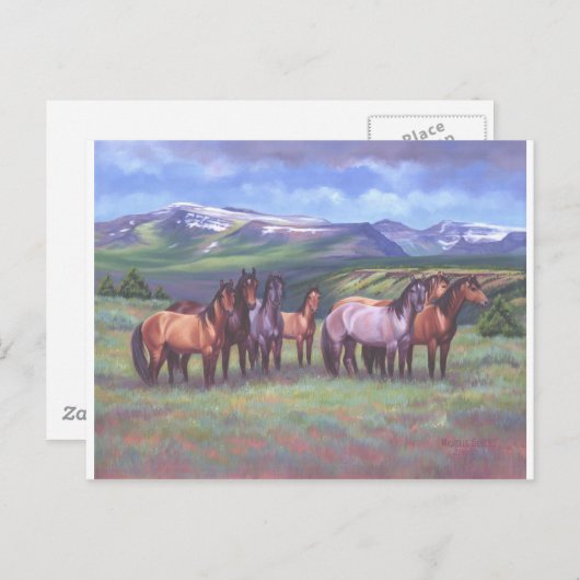 Carte Postale Chevaux sauvages de l'Oregon (Devant / Derrière)