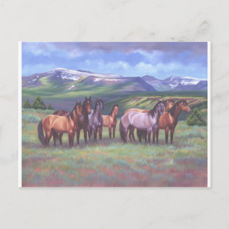 Carte Postale Chevaux sauvages de l'Oregon