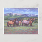 Carte Postale Chevaux sauvages de l'Oregon (Devant)
