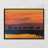 Carte Postale Chevaux sauvages du Montana Peinture d'Alfred Fox (Devant)