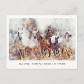 Carte Postale Chevaux sauvages et libres (Devant)