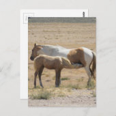 Carte Postale Chevaux sauvages Infirmier sans texte (Devant / Derrière)