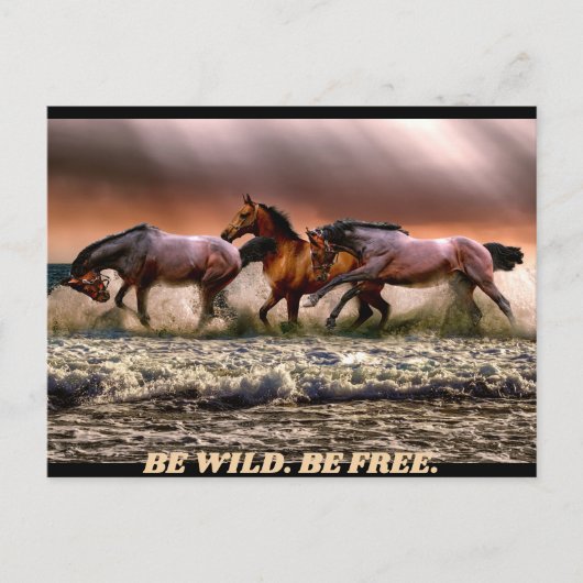 Carte Postale Chevaux sauvages - soyez sauvages. soyez libres. (Devant)