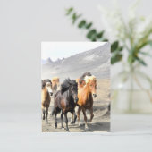 Carte Postale Chevaux se déplaçant vers le succès (Debout devant)