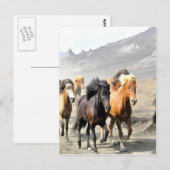 Carte Postale Chevaux se déplaçant vers le succès (Devant / Derrière)