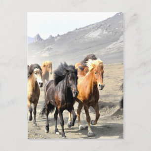 Carte Postale Chevaux se déplaçant vers le succès