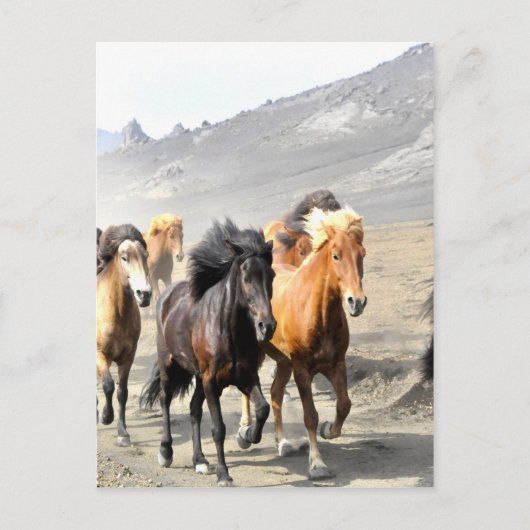 Carte Postale Chevaux se déplaçant vers le succès (Devant)