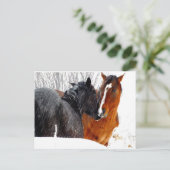 Carte Postale Chevaux s'embrasser dans la neige (Debout devant)
