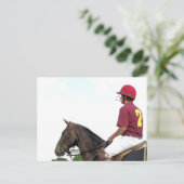 CARTE POSTALE CHEVAUX SPORTIFS (Debout devant)