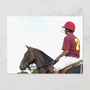 CARTE POSTALE CHEVAUX SPORTIFS