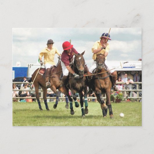 CARTE POSTALE CHEVAUX SPORTIFS (Devant)