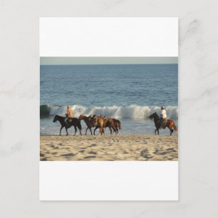 Carte Postale Chevaux sur la plage