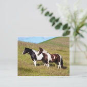 Carte Postale Chevaux sur le versant de la colline (Debout devant)