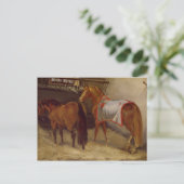 Carte Postale Chevaux sur les tables (Debout devant)