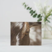 Carte Postale Chèvre (Debout devant)