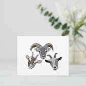 Carte Postale Chèvre animal drôle chèvre (Debout devant)