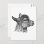 Carte Postale Chèvre bébé G099 (Devant / Derrière)