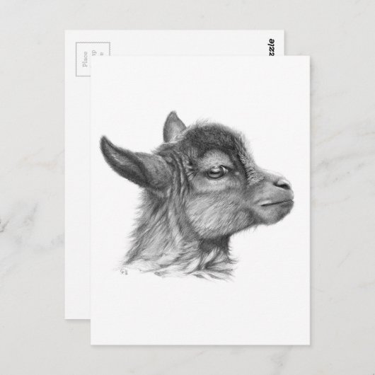 Carte Postale Chèvre bébé G099 (Devant / Derrière)