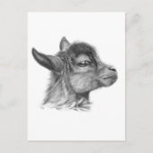 Carte Postale Chèvre bébé G099 (Devant)