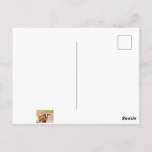 Carte Postale Chèvre Brown et chèvre blanche (Dos)