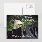Carte Postale Chèvre de l'Assistant Halloween (Devant / Derrière)