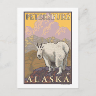 Carte Postale Chèvre de montagne - Petersburg, Alaska