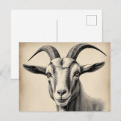 Carte Postale Chèvre Etching in Fine Lines (Devant / Derrière)