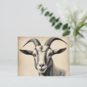 Carte Postale Chèvre Etching in Fine Lines (Debout devant)