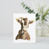 Carte Postale Chèvre mignonne, animal, animal de ferme (Debout devant)