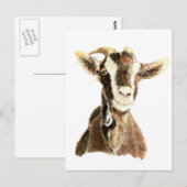 Carte Postale Chèvre mignonne, animal, animal de ferme (Devant / Derrière)